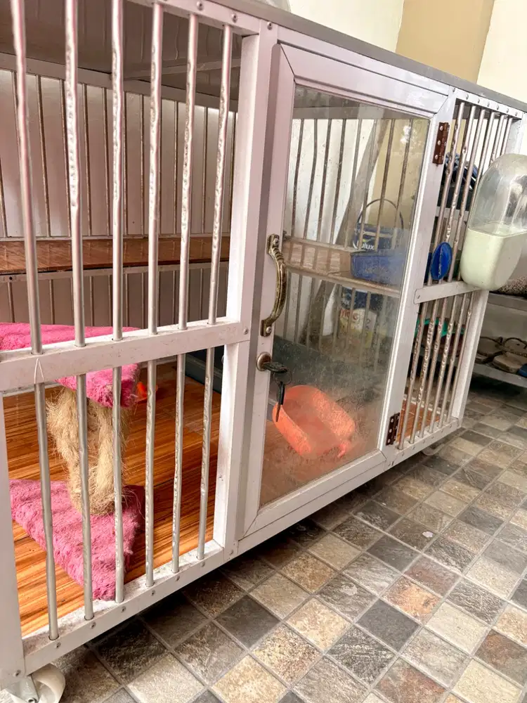 Jual kandang kucing