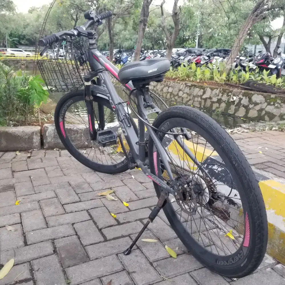 SEPEDA MTB EVERGREEN RANGER 570 26INCH