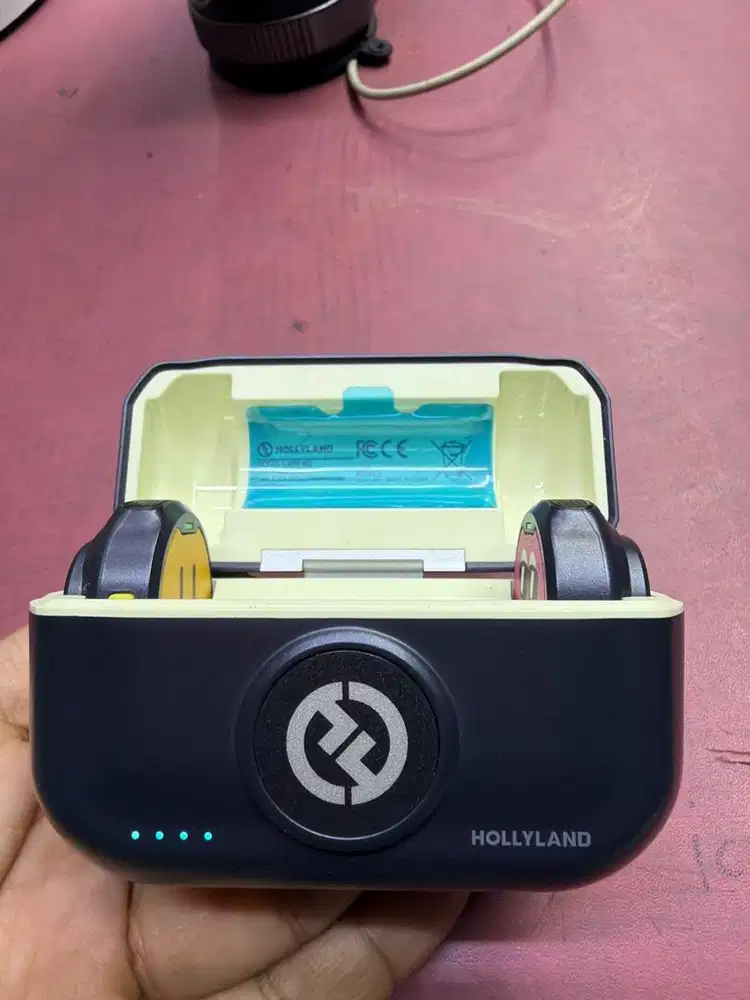 Mic holly land M2