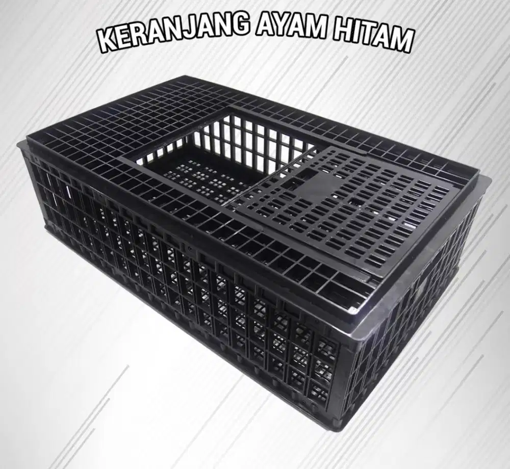 Keranjang Ayam Paling murah