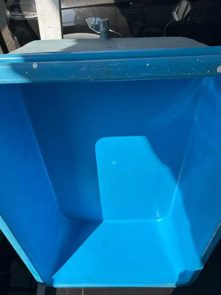 Aquarium ikan hias ikan koki