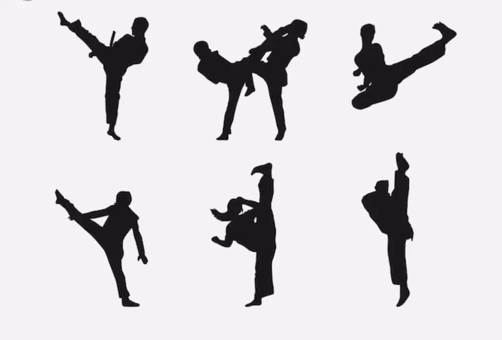 Private Taekwondo Poomsae