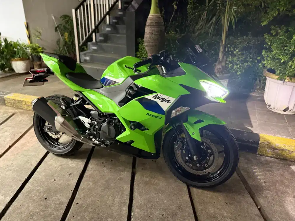 Kawasaki 250 ABS SE.