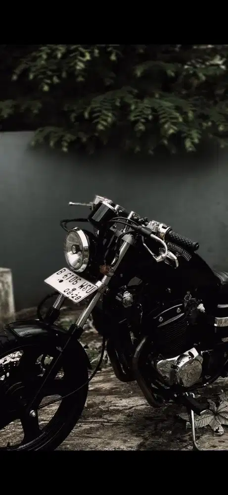 Benelli PE 250 karbu 2018