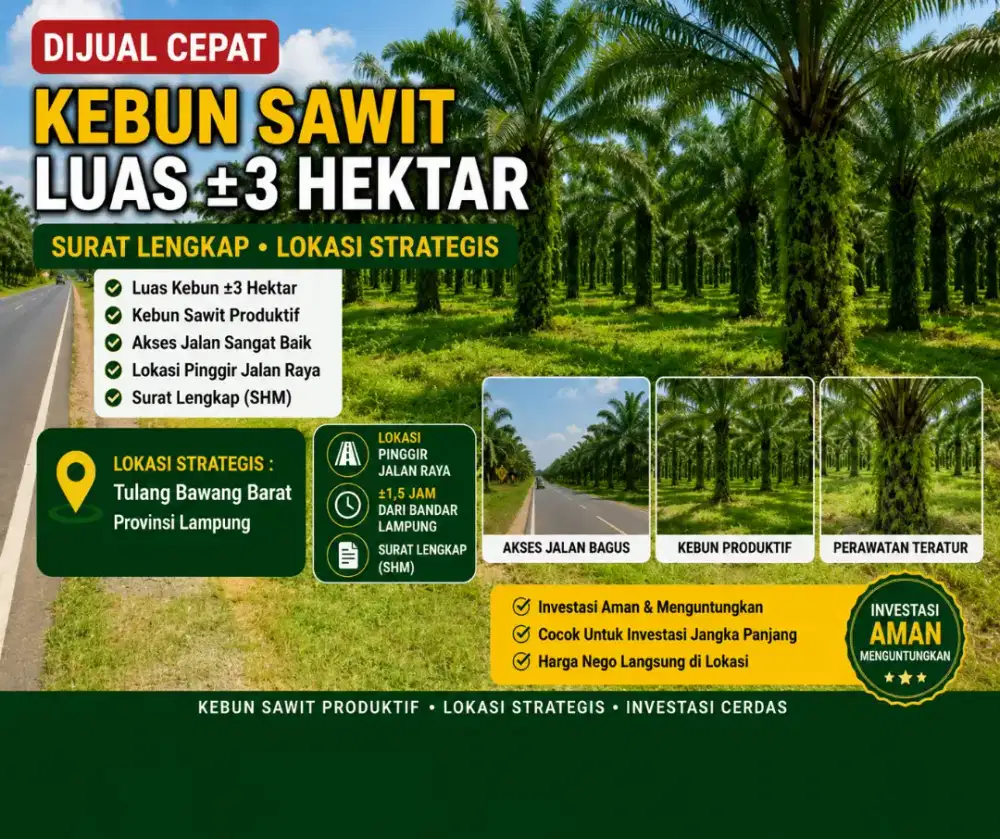 Dijual cepat lahan sawit 3 hektar