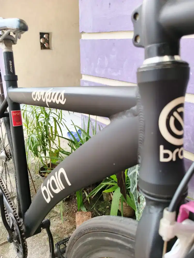Fixie Brain jarang pakai
