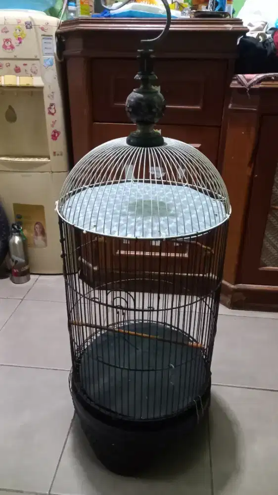 Kandang love bird