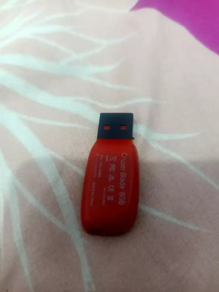 Flashsisk & ram