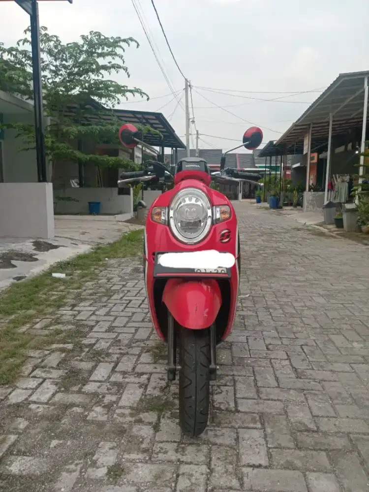 Honda Scoopy 2020