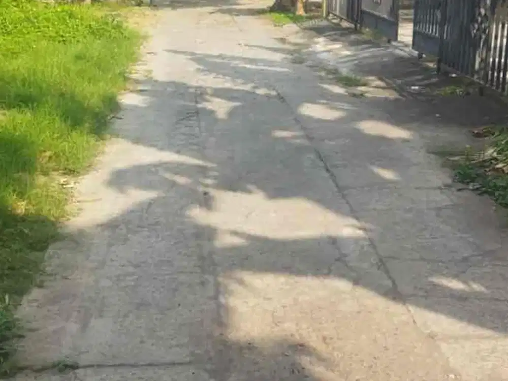 Dijual Tanah Pekarangan