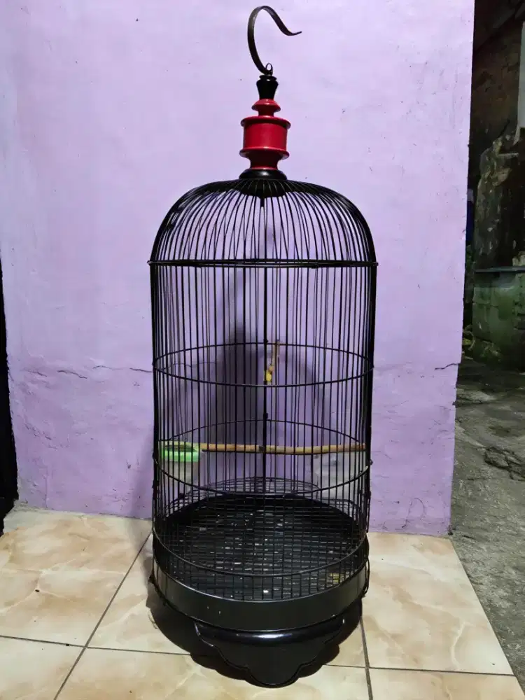 Kandang lb bekas