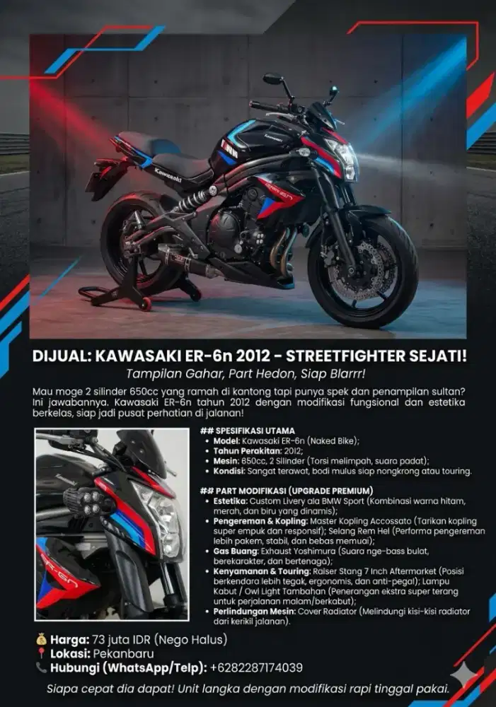 ER6N 2012 Livery BMW