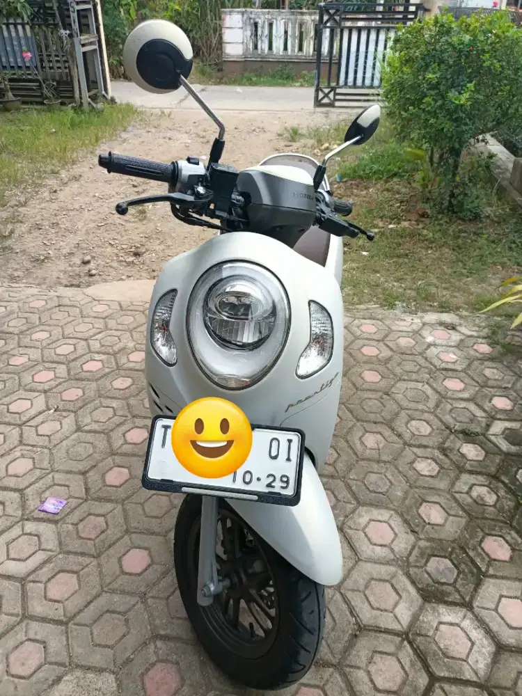 Scoopy pristige komplit pjk on