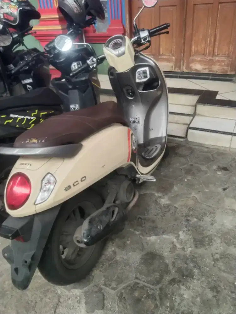 Honda Scoopy pajak hidup