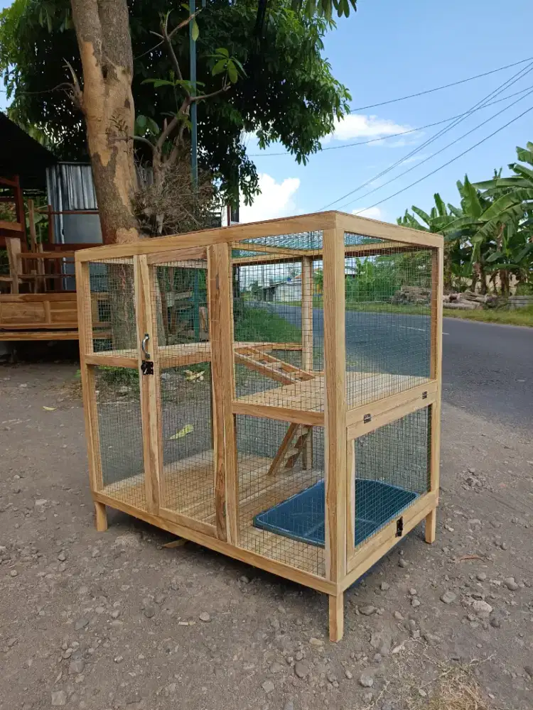 Kandang kucing tingkat