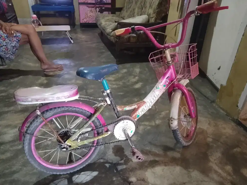 Sepeda Bekas Anak Cewek Uk16
