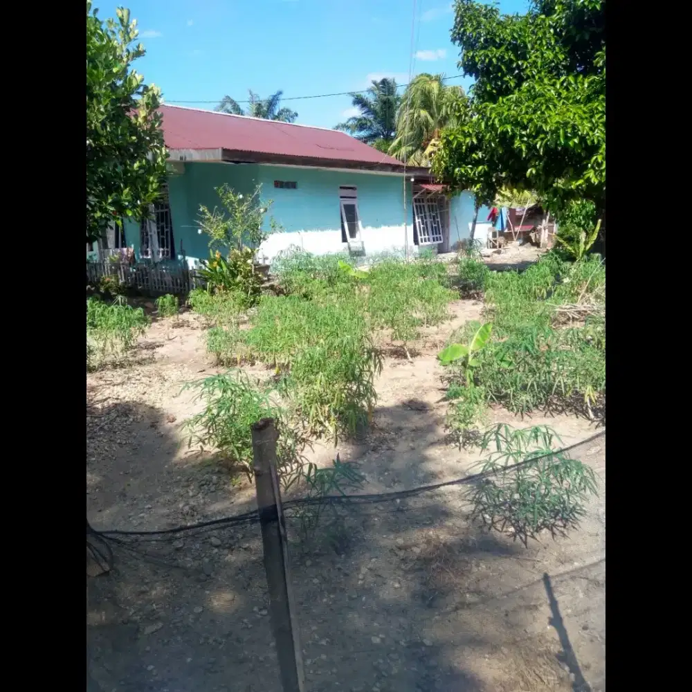 Rumah permanen halaman luas