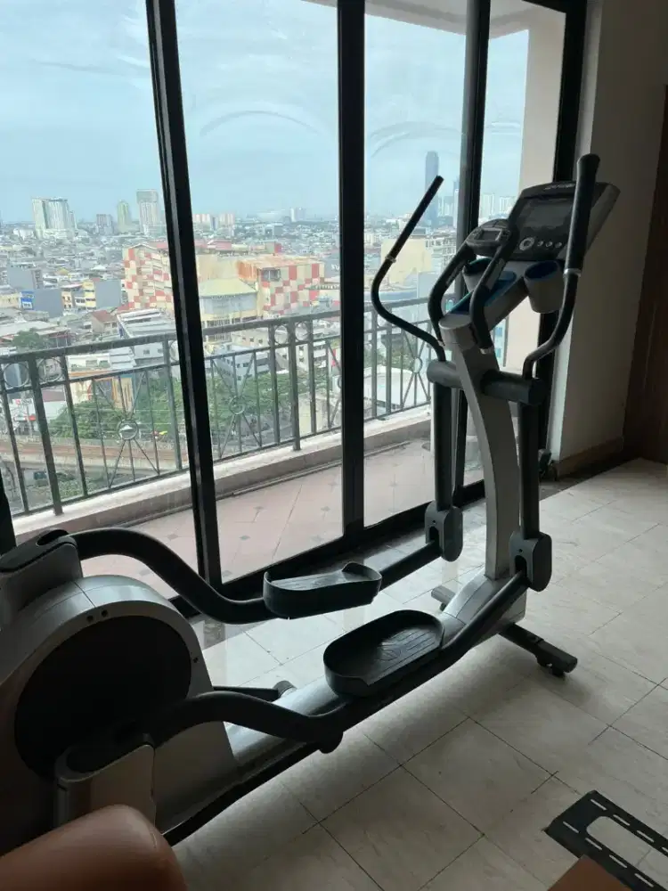 Precor Adaptive mation Trainer (AMT)