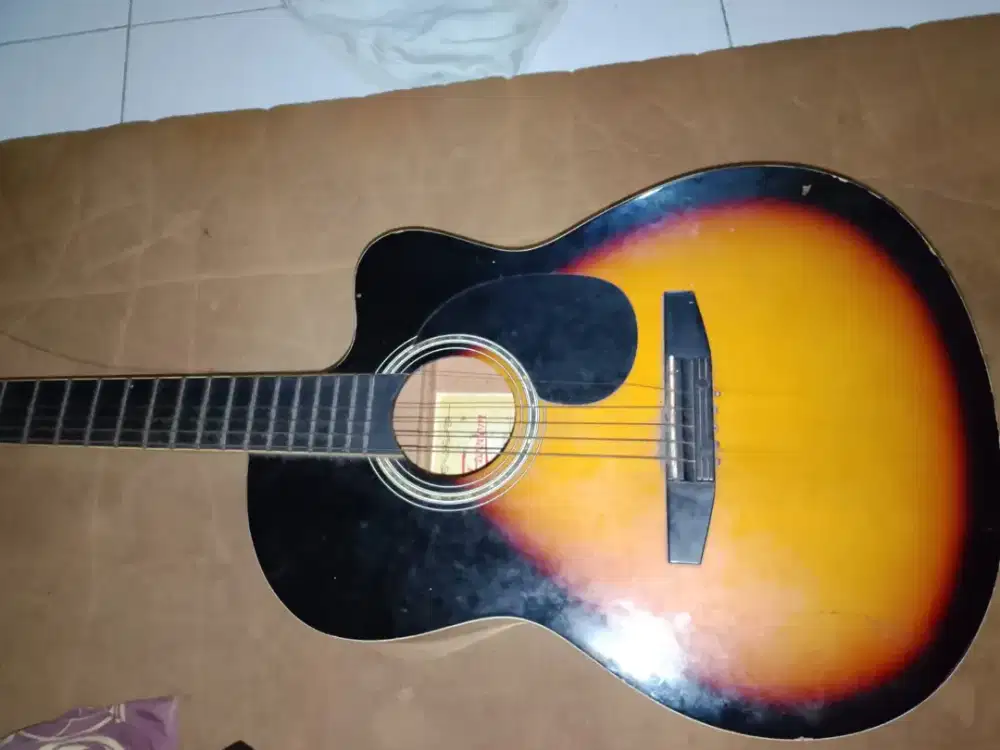 Gitar fredoom CAG300C vs