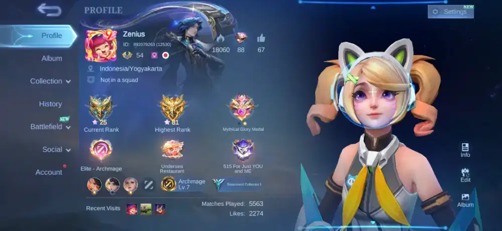 Akun Pribadi Mobile Legends Dijamin Aman