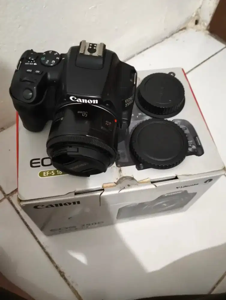 CANON 250D LENSA FIX 50MM F1.8