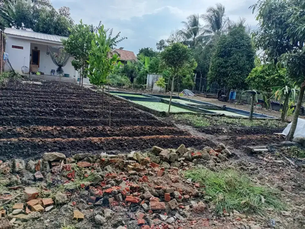 JUAL TANAH KEBUN