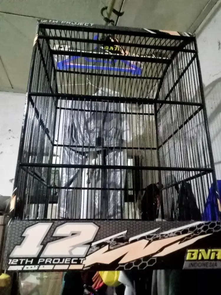 Kandang kotak BNR decal Rebon nmr 1