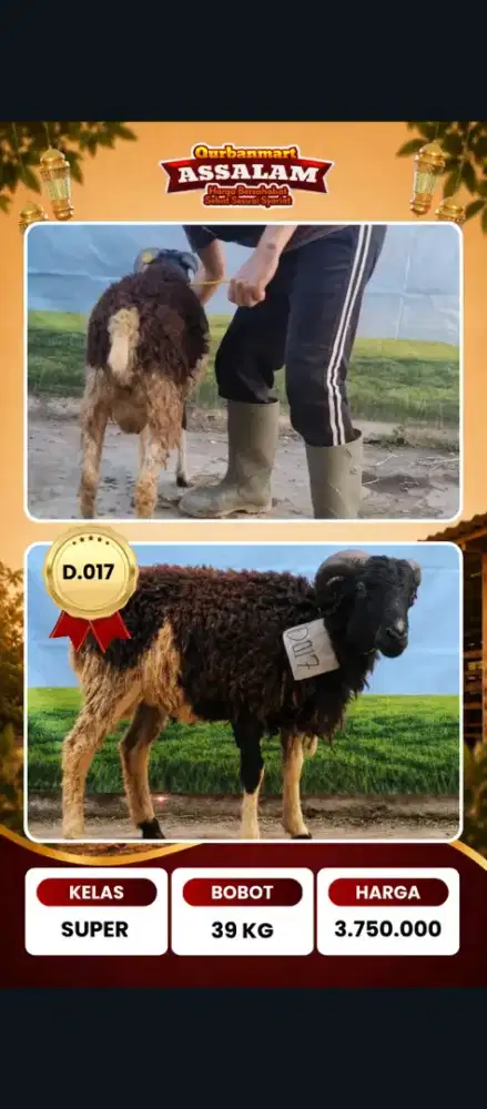 2026 Qurban Bandung