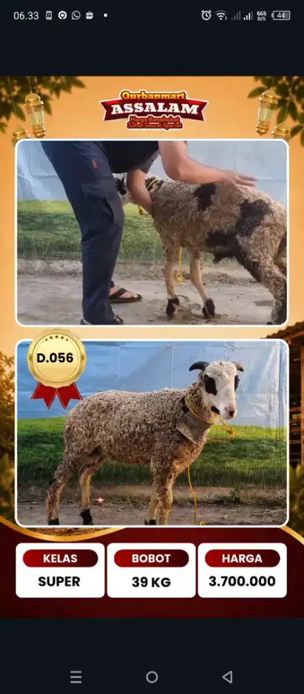 Qurban 2026 Bandung