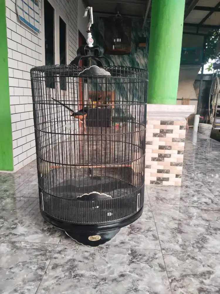 Kandang/ sangkar murai bnr no 1