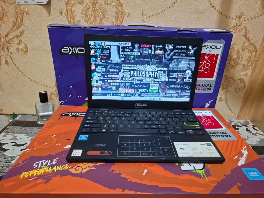 Laptop Asus Vivobook E210MA