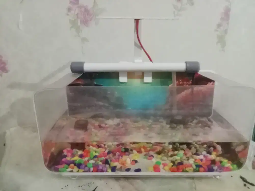 Jual Aquarium lengkap