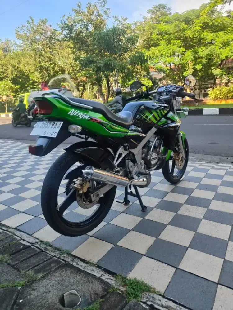 Ninja SS 2014 Zebra