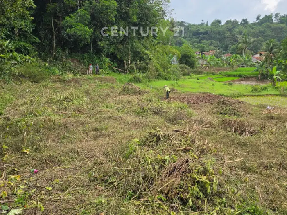 Tanah 5292 M2 Lokasi Pinggir Jalan Di Karyasari Leuwiliang Bogor