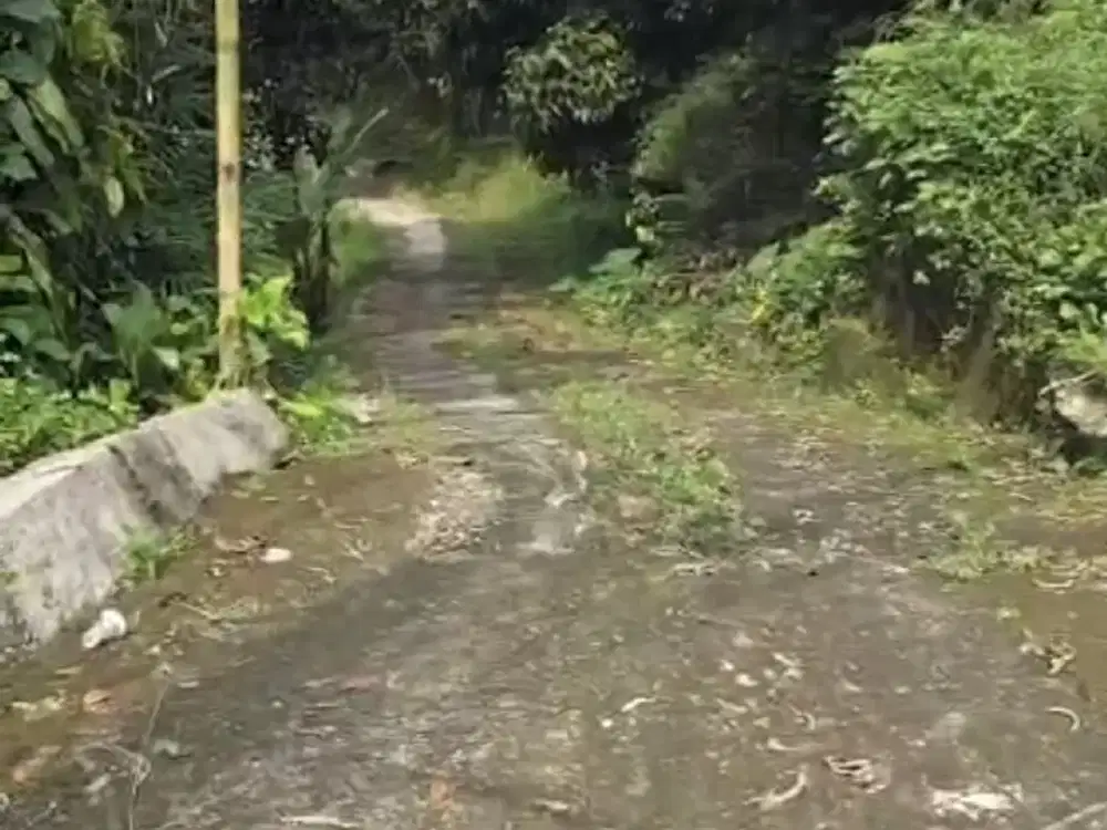 Tanah SHM Cocok Untuk Investasi Di Jl. Raya Karacak, Bogor Barat