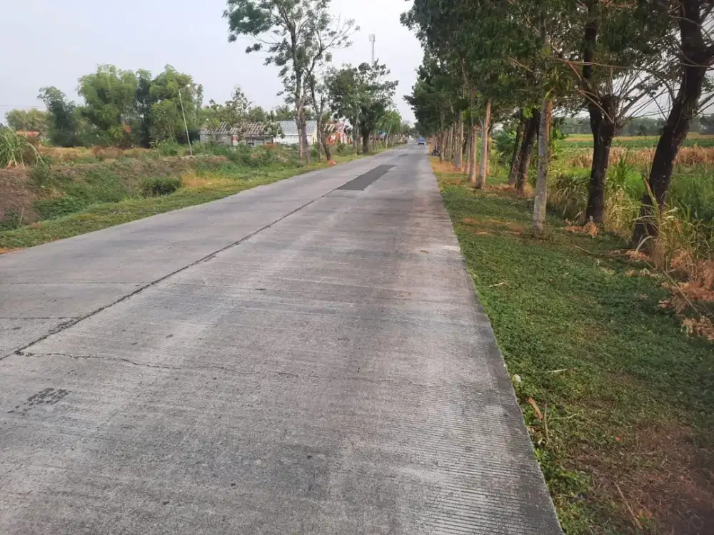 Dijual Lahan Kemlagi Mojokerto