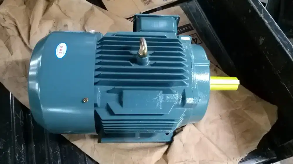 Dinamo Electro motor B3