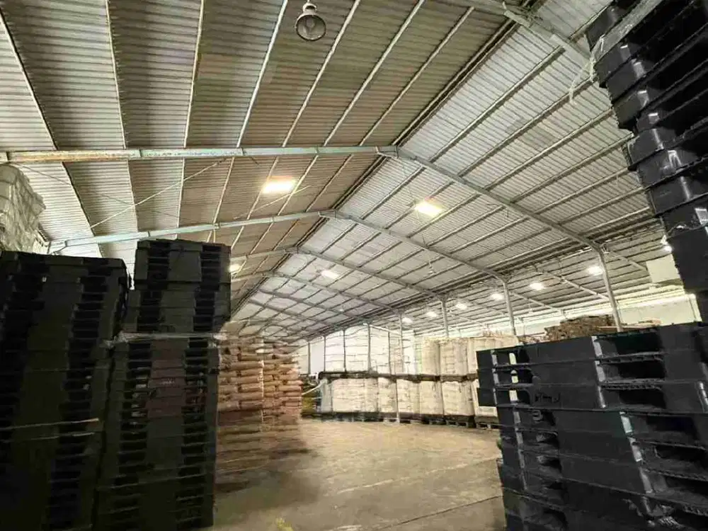 Gudang Industri Siap Pakai Dijual di Tambak Sawah Dekat Surabaya