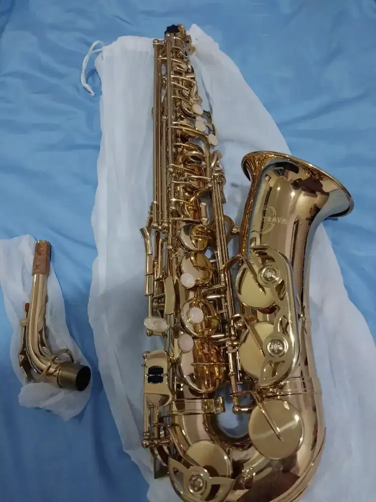 Saxophone Alto Strava