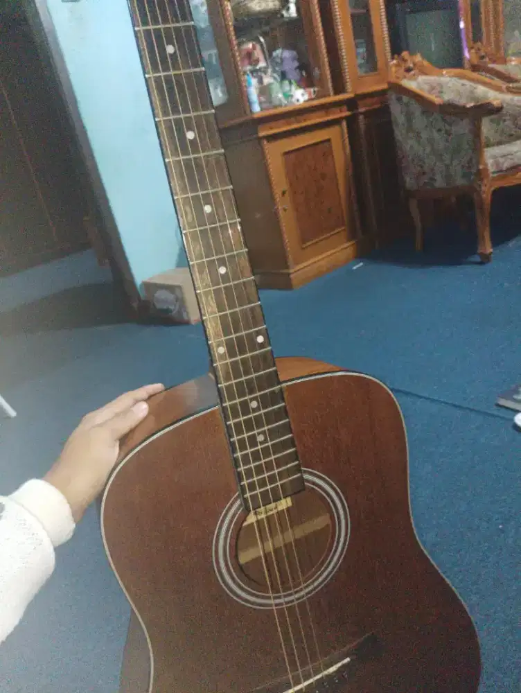 gitar cowboy gw 240ns