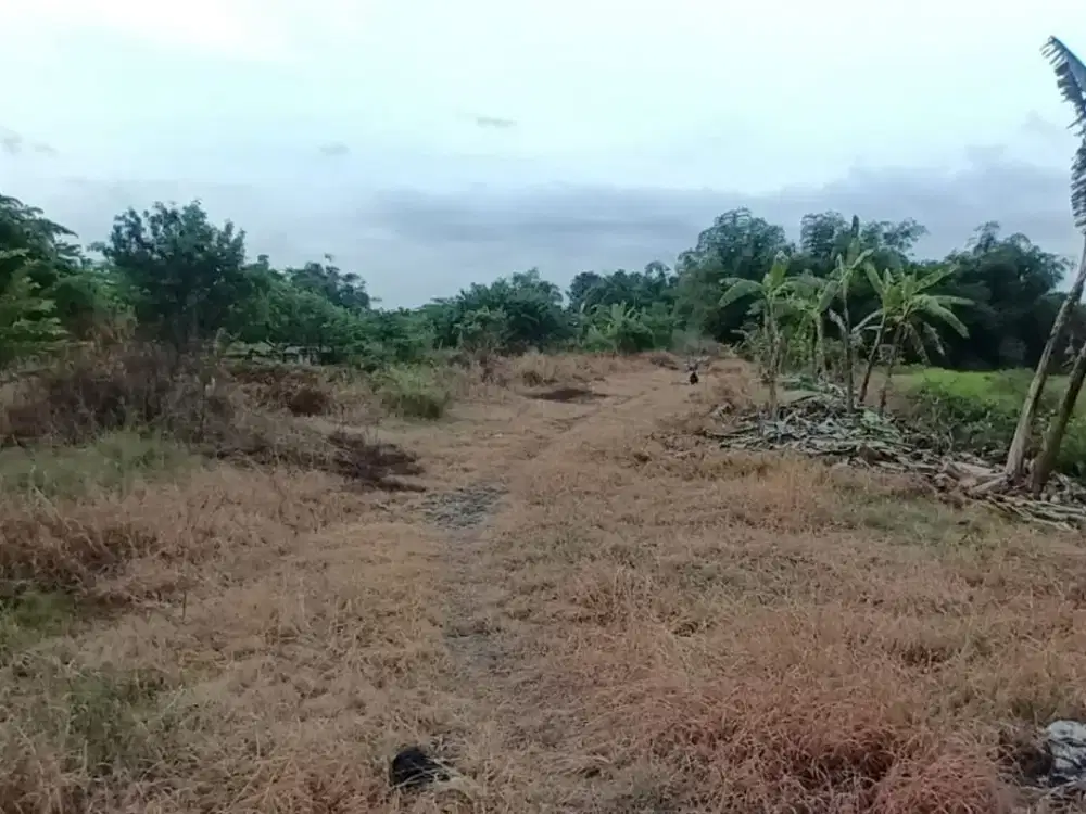 Dijual Lahan Siwalankerto