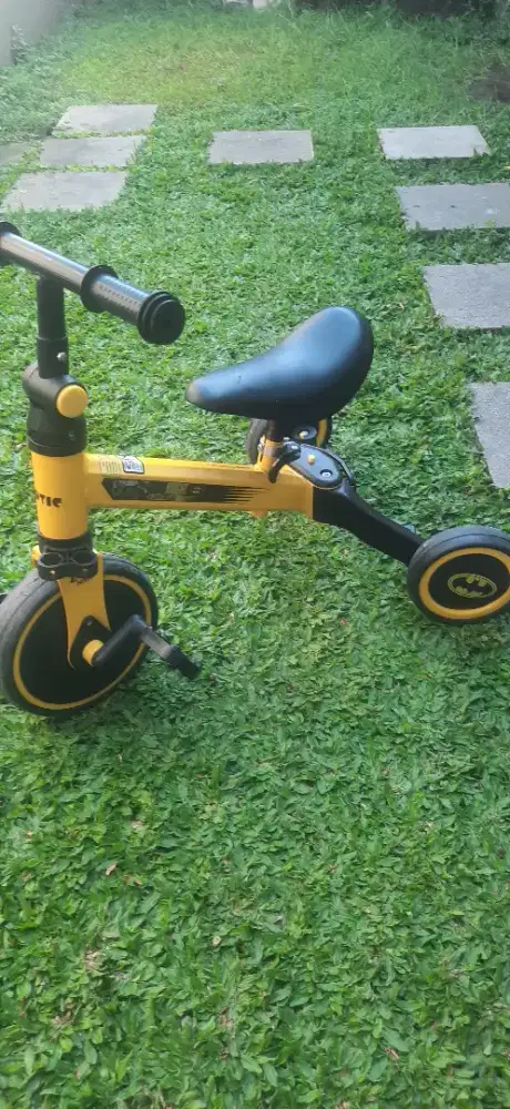 Sepeda anak anak