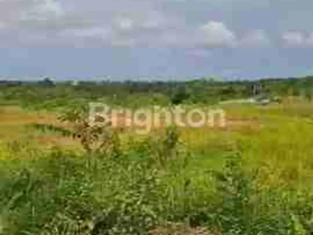 DIJUAL TANAH STRATEGIS LOKASI KM 13 PULAU BALANG KAWASAN INDUSTRI DAN PERGUDANGAN