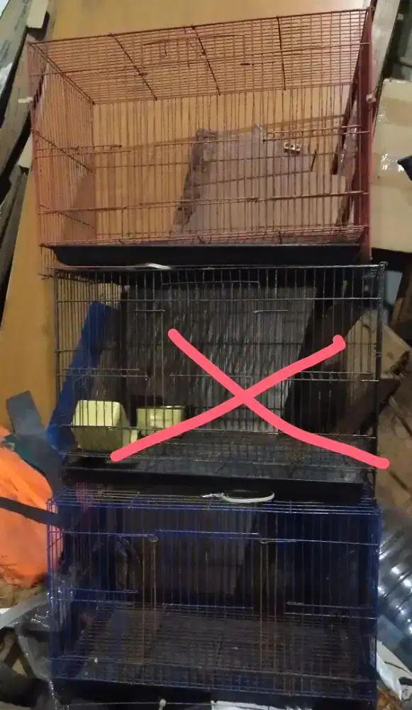 Kandang burung sugar glider ayam dst