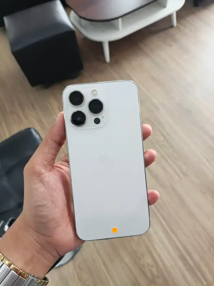 IPHONE 13 PRO 256 SILVER INTER