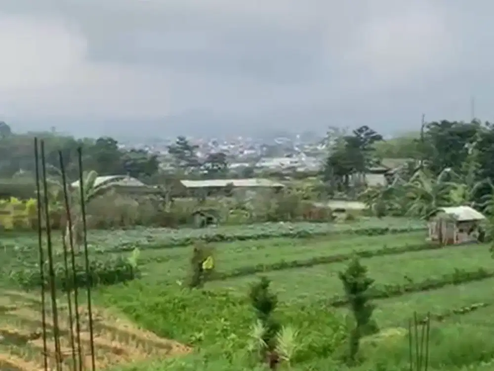 Villa Modern Family Concept di Lokasi Strategis Poros Jalan