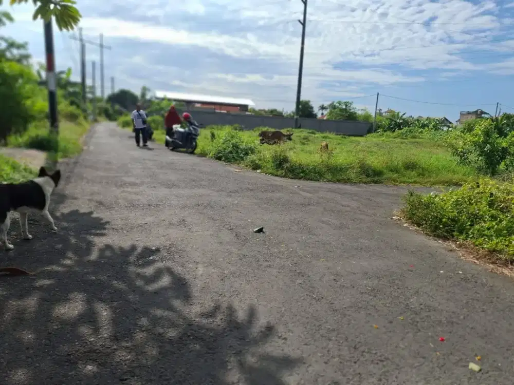 Dijual Tanah Bagus Posisi Hook. Lokasi Di Jalan Tukad Nyali Sanur Bali. Dekat Ke Pantai Sanur, Jalan Hangtuah, Sedap Malam, Plaza Renon