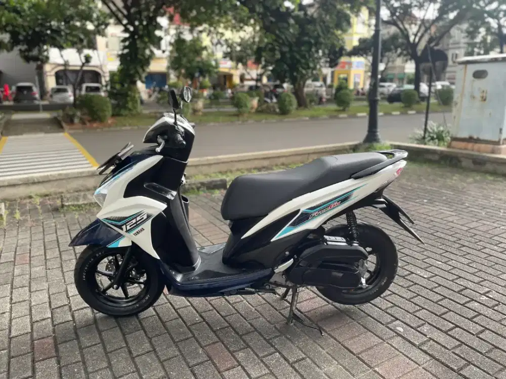 Freego 2025 Pajak Hidup