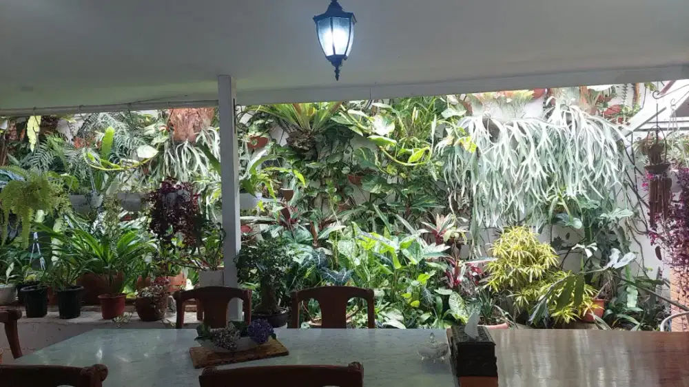 Disewakan rumah 4 kamar bisa untuk kost2an atau rumah tangga