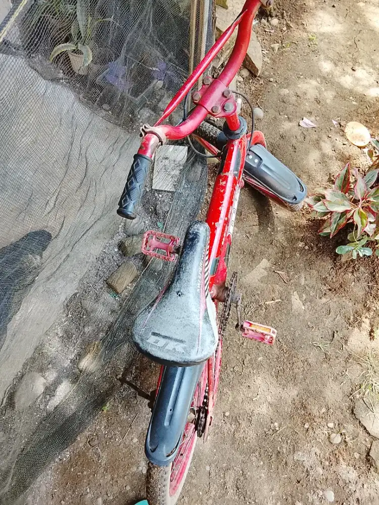 Sepeda gunung Phoenix